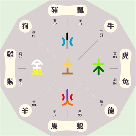 辰 屬性|辰五行屬什麼？解開地支的秘密，探索你的命運！｜魔幻水